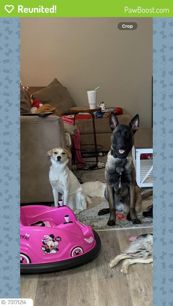 Reunited Male Dog last seen Heritage way, Cameron, NC 28326