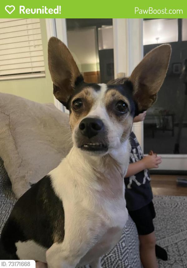 Reunited Female Dog last seen Old Cliffs Rs, San Diego, CA 92120