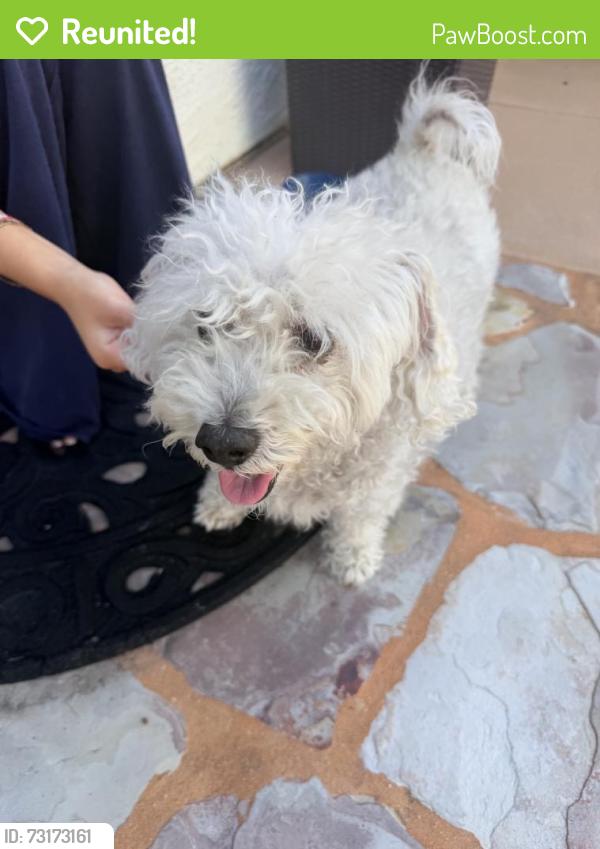 Reunited Unknown Dog last seen Hunte Pkwy, Chula Vista, CA 91914