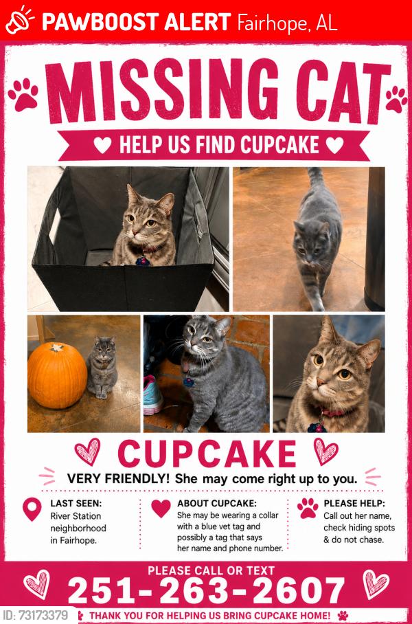 Lost Female Cat last seen Northwood street and Westwood avenue, Fairhope, AL 36532