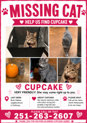 Lost Female Cat last seen Northwood street and Westwood avenue, Fairhope, AL 36532