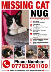 Lost Male Cat last seen Orrell, Orrell, England 