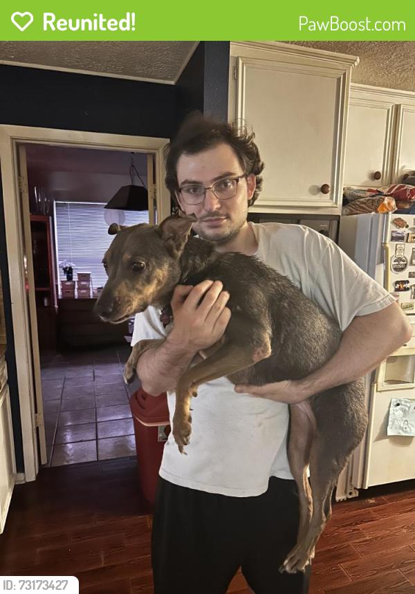 Reunited Female Dog last seen Shipman Ln, Cypresswood, TX 77388, USA, Cypresswood, TX 77388