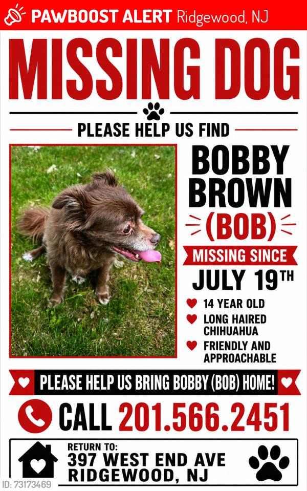 Lost Male Dog last seen Orchard Street near Orchard School, Ridgewood, NJ 07450