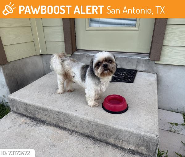 Found/Stray Male Dog last seen Old Prue Rd, San Antonio, TX 78249