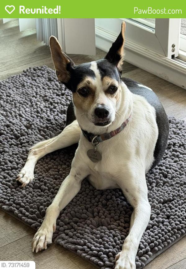 Reunited Female Dog last seen Mission gorge rd, San Diego, CA 92120