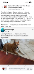 Lost Female Dog last seen Charles Park, Vero Beach, FL 32960