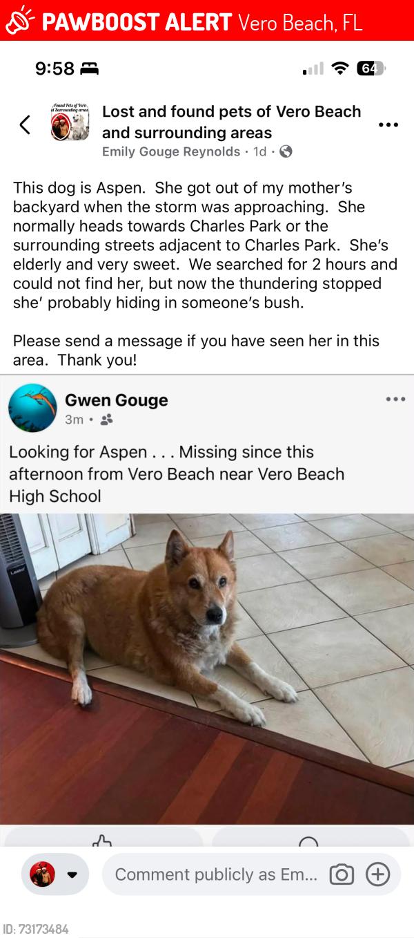 Lost Female Dog last seen Charles Park, Vero Beach, FL 32960