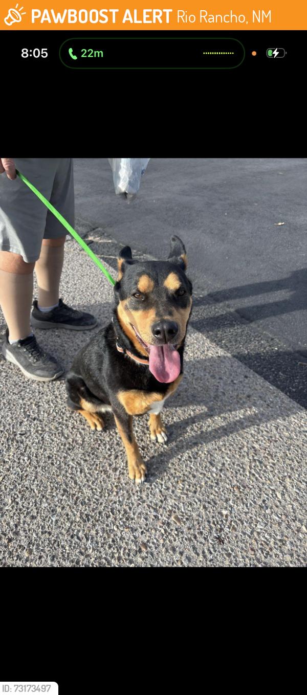 Found/Stray Unknown Dog last seen Unser & 2nd, Rio Rancho, NM 87124