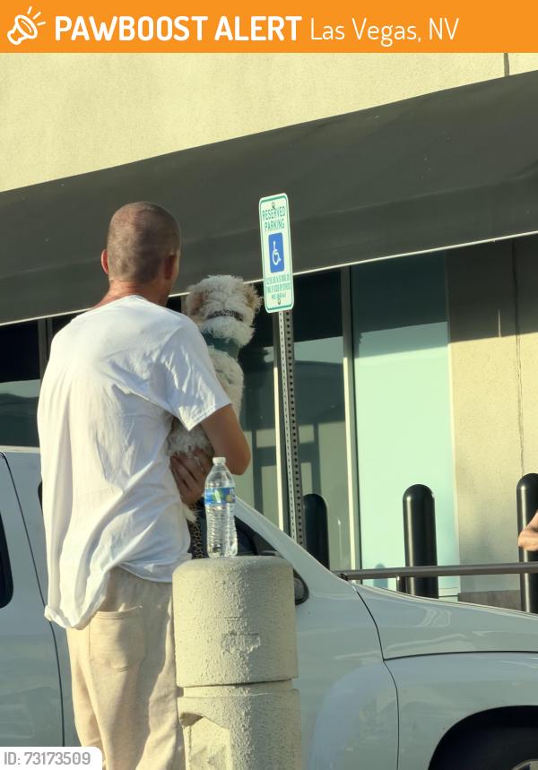 Found/Stray Unknown Dog last seen S Decatur x W Sahara, Las Vegas, NV 89107
