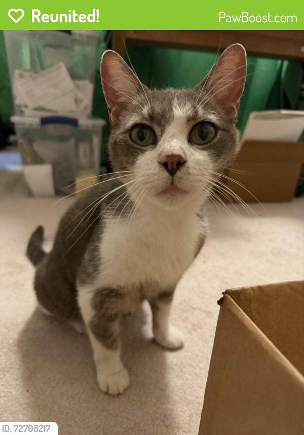 Reunited Male Cat last seen City Golf course near Briargate/Trophy, Bryan, TX 77802
