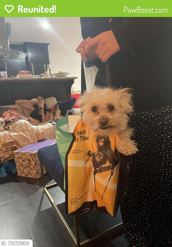 Reunited Female Dog last seen Talus slate, Chula Vista, CA 91911