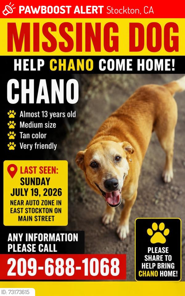 Lost Male Dog last seen Main Street, Stockton, CA 95215