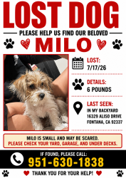 Lost Male Dog last seen Oleander and Aliso, Fontana, CA 92337