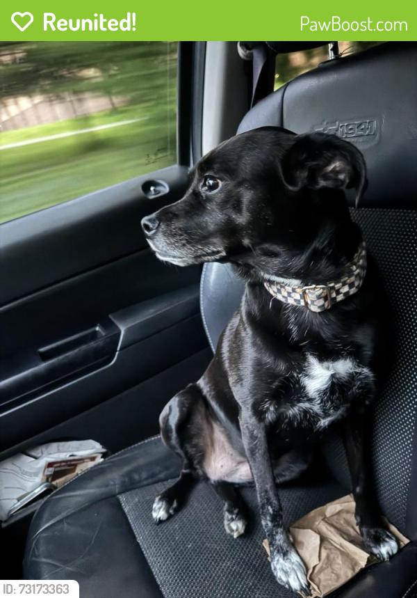 Reunited Female Dog last seen Whipps Mill and Lyndon Lane, Louisville, KY 40203