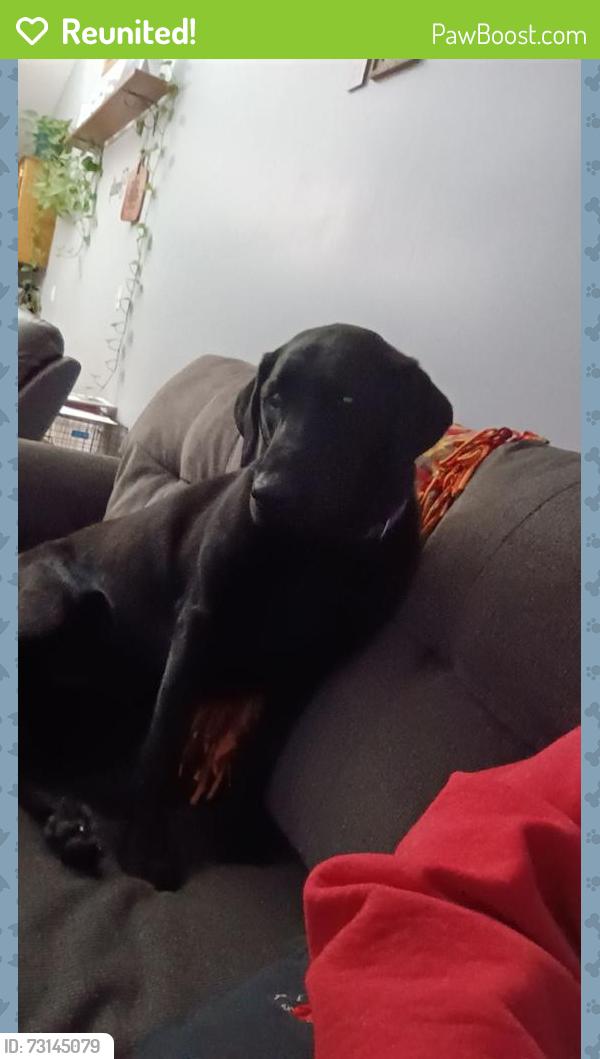 Reunited Female Dog last seen Near 99th Street, Monticello MN, 55362, Monticello, MN 55362