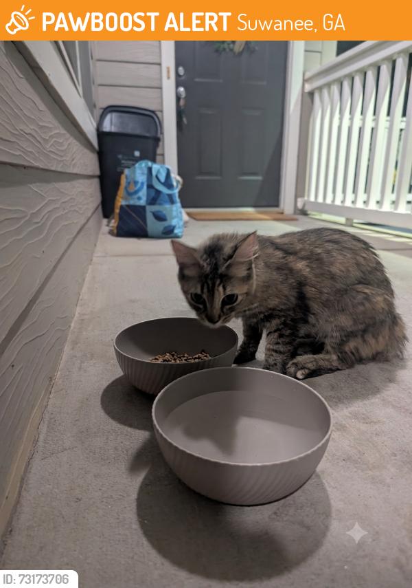 Found/Stray Female Cat last seen McGuiness Ferry, Suwanee, GA 30024