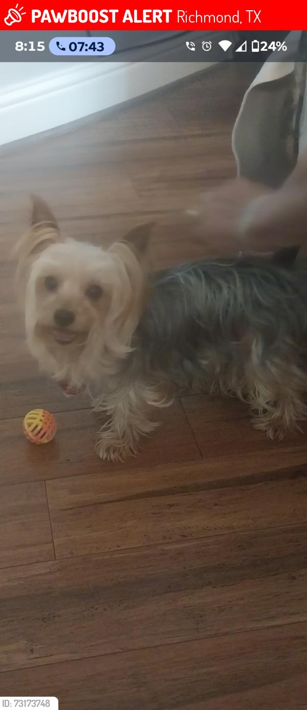 Lost Male Dog last seen Brady Creek ln, Richmond, TX 77406