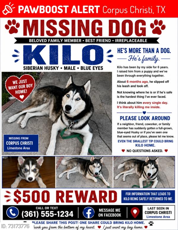 Lost Male Dog last seen Nile and mcardle, Corpus Christi, TX 78412