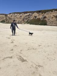 Lost Male Dog last seen Banbury, Antioch, CA 94531