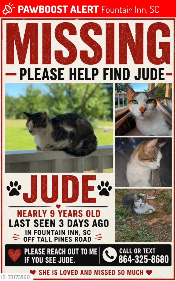 Lost Female Cat last seen Tall Pines Road fountain inn sc, Fountain Inn, SC 29644