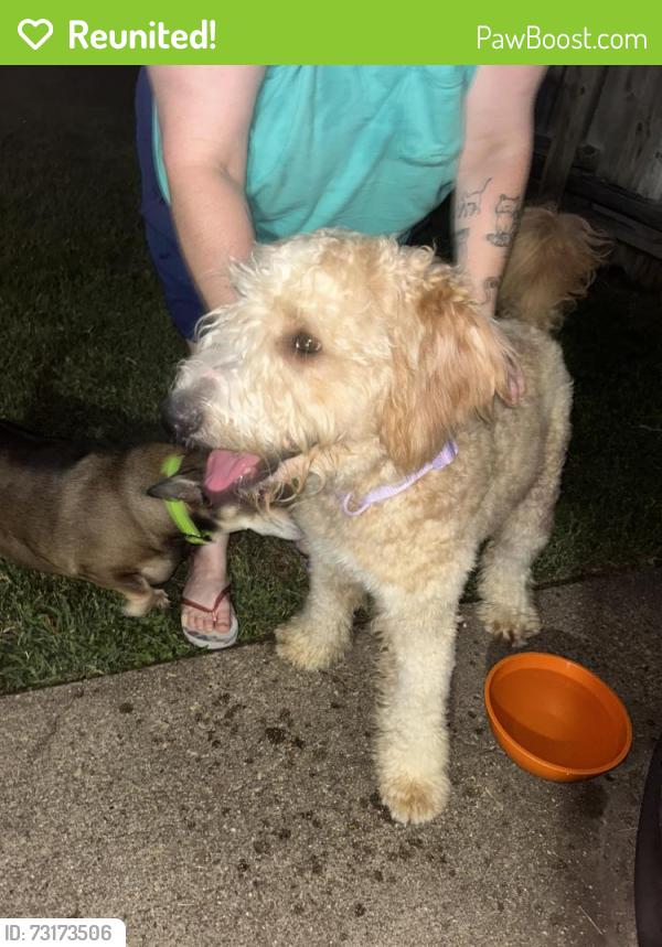 Reunited Female Dog last seen College Station Police Department, College Station, TX 77840