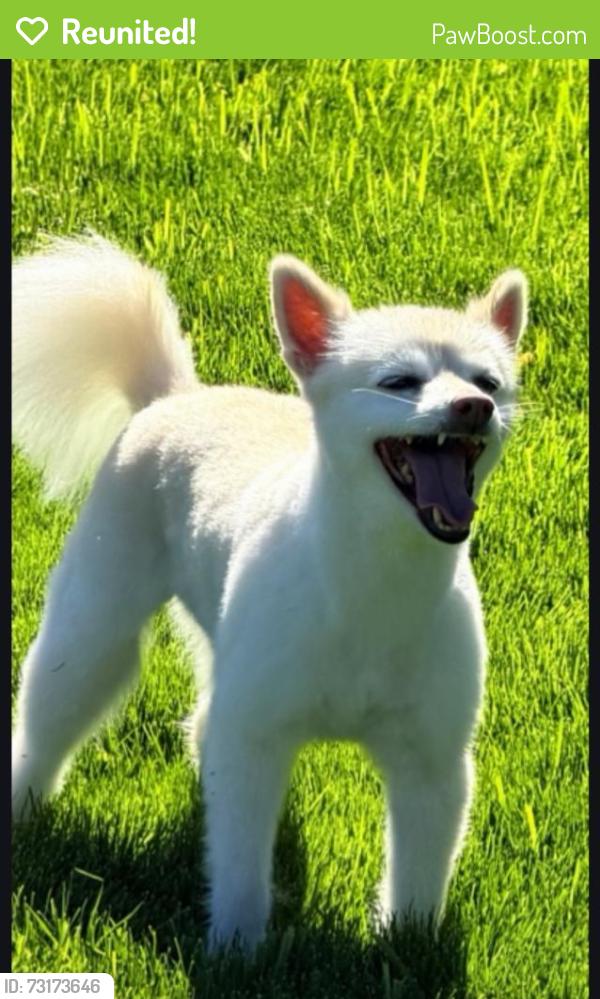 Reunited Female Dog last seen Buri Buri Park, South San Francisco, CA 94080