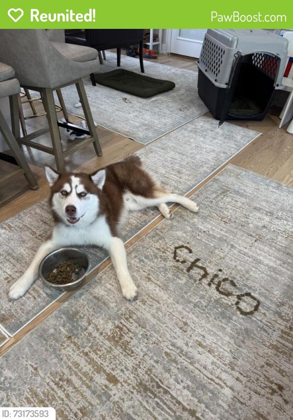 Reunited Male Dog last seen Columbine Dr and Columbine Curcle, Schaumburg, IL 60173