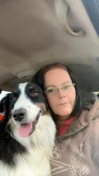 Reunited Male Dog last seen Meridian road, Meridian, ID 83642