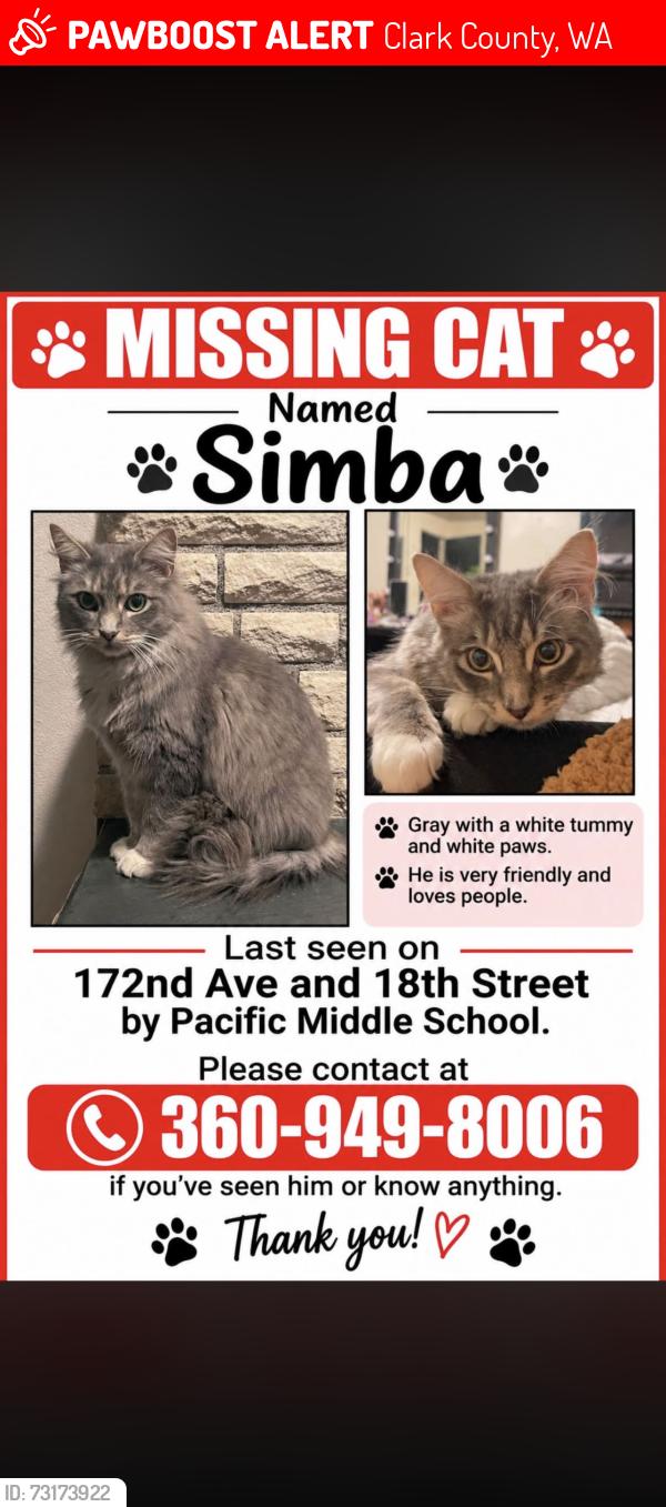 Lost Male Cat last seen 172nd and 18th Street by pacific middle school, Clark County, WA 98684