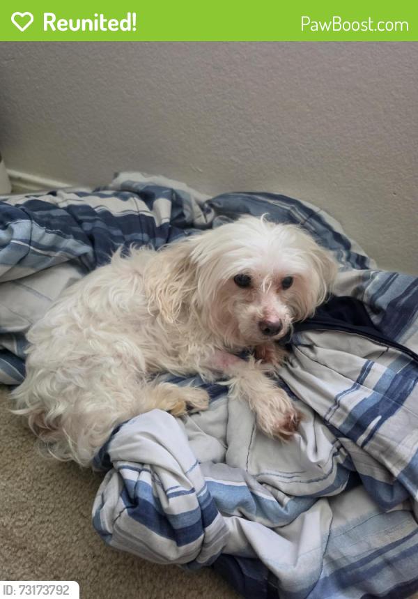 Reunited Male Dog last seen Near the entrance of Double Creek Crossing, Round Rock, TX 78664