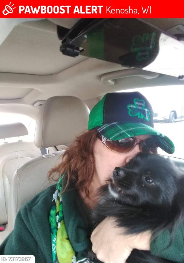 Lost Female Dog last seen Uptown Kenosha, Kenosha, WI 53140