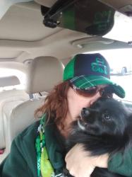 Lost Female Dog last seen Uptown Kenosha, Kenosha, WI 53140
