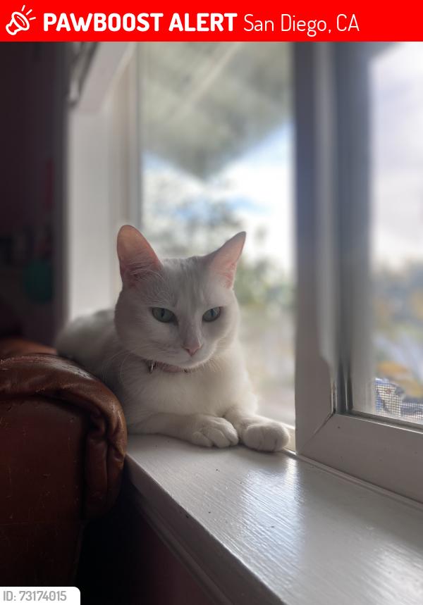 Lost Female Cat last seen cardiff and san felipe st, San Diego, CA 92114