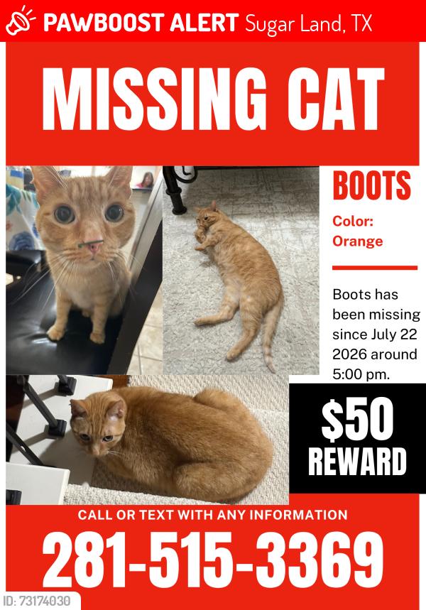 Lost Male Cat last seen Emerald Trace Ct / Kirkpatrick Way, Sugar Land, TX 77479