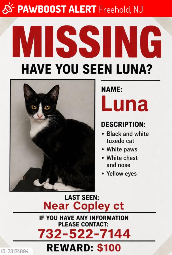 Lost Female Cat last seen Copley Court, Freehold, NJ 07728
