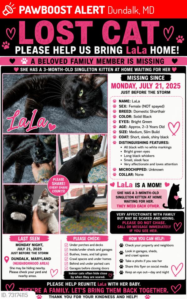 Lost Female Cat last seen Crossway, Dundalk, MD 21222