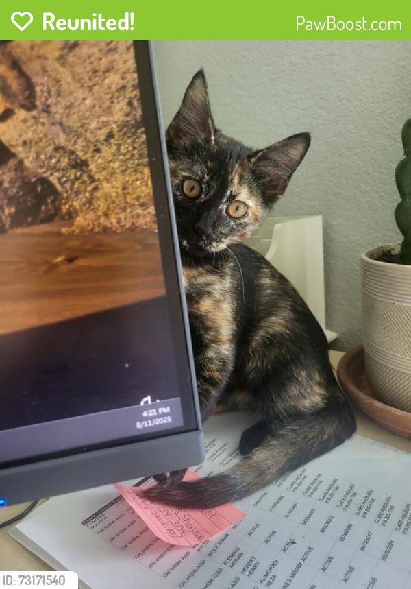 Reunited Female Cat last seen Near S Cedar St, Owasso, OK 74055, USA, Owasso, OK 74055