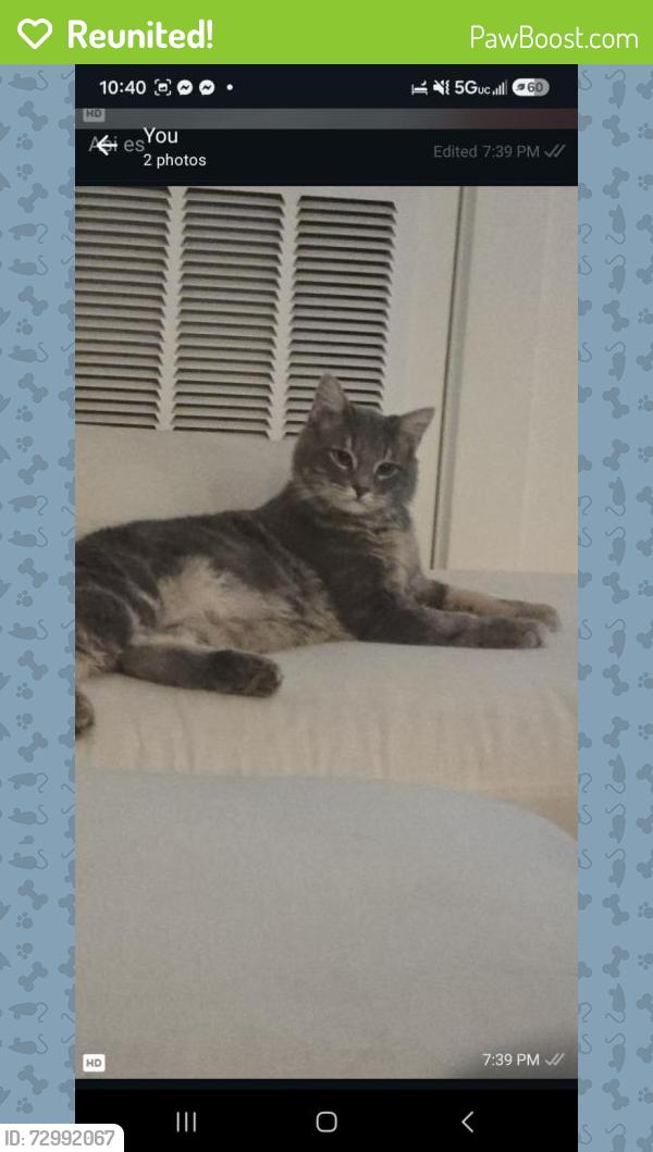 Reunited Male Cat last seen Near N 900 W, Salt Lake City, UT 84116, Salt Lake City, UT 84116