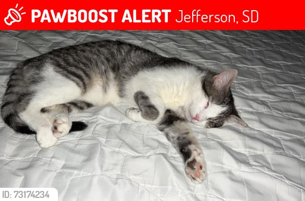 Lost Male Cat last seen 334th st, Jefferson, SD 57038