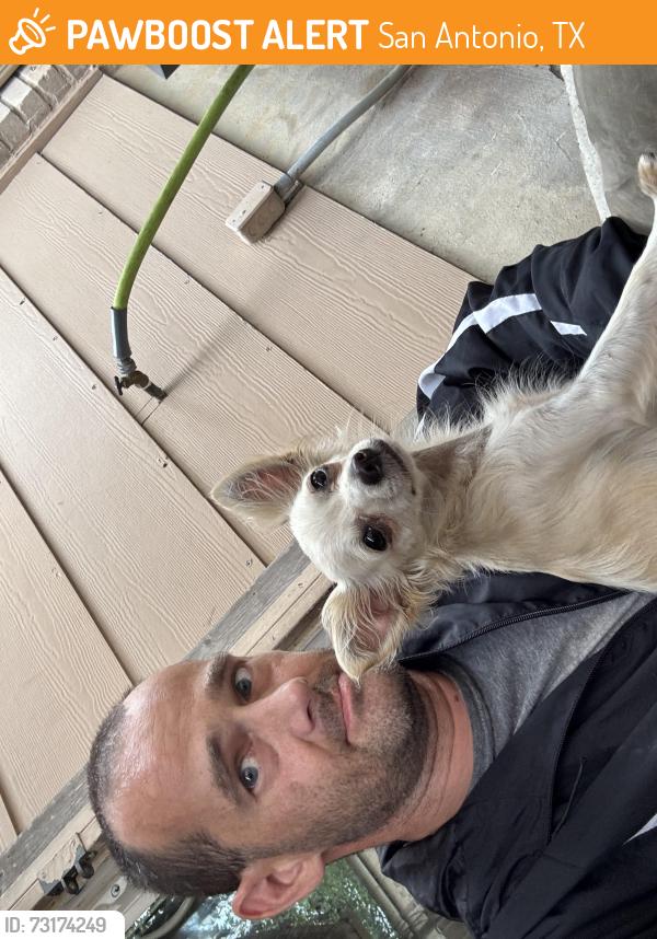 Found/Stray Female Dog last seen Callahan rd and stiffkey dr, San Antonio, TX 78229