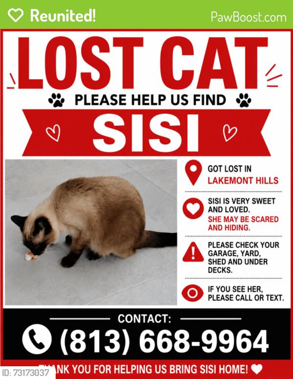 Reunited Female Cat last seen Near Lakemont hills , Peachood Dr , Malletwood Dr, Brandon, FL 33510