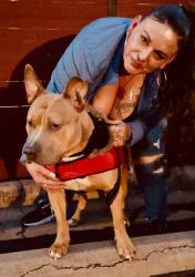 Reunited Male Dog last seen Pond springs and hunters chase, Austin, TX 78729