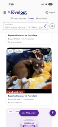 Lost Female Dog last seen Haynab, Katy, TX 77449