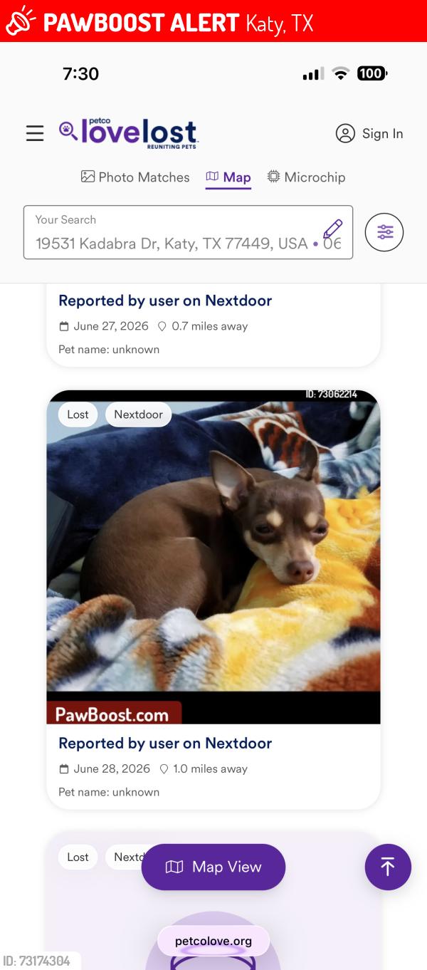 Lost Female Dog last seen Haynab, Katy, TX 77449