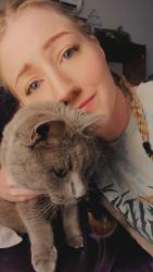 Reunited Female Cat last seen Near Blue Ridge Trail, Fairfield PA, Fairfield, PA 17320