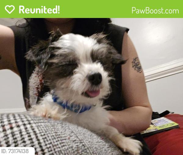 Reunited Male Dog last seen commerce rd and gordan ave, Richmond, VA 23234