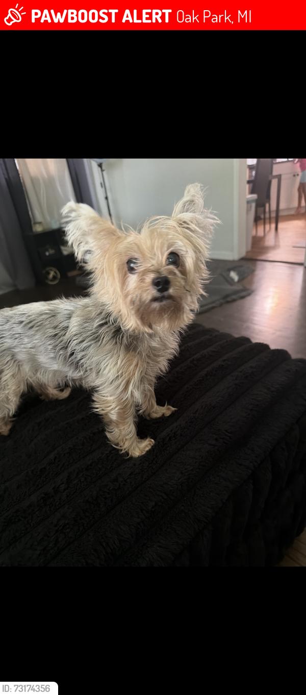 Lost Female Dog last seen Parklawn, Oak Park, MI 48237