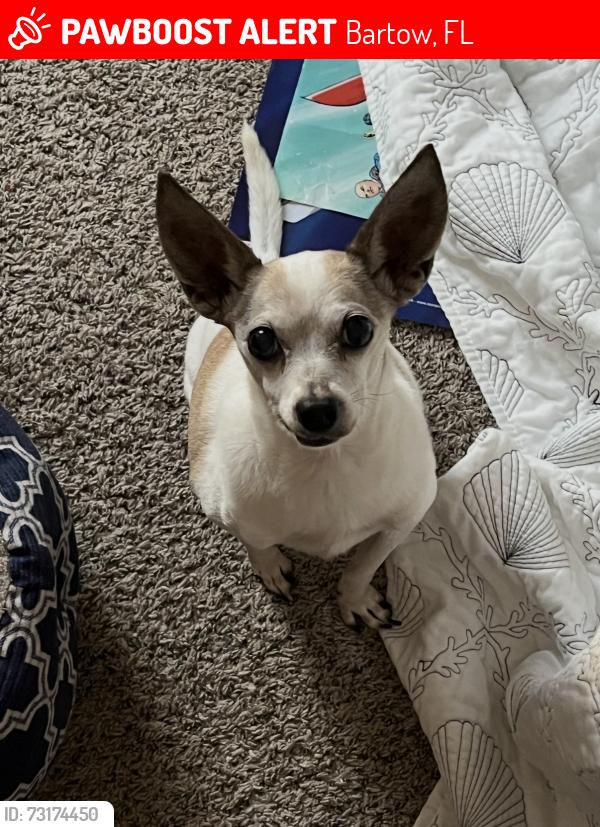 Lost Male Dog last seen Old Bartow eagle lake road, Bartow, FL 33830