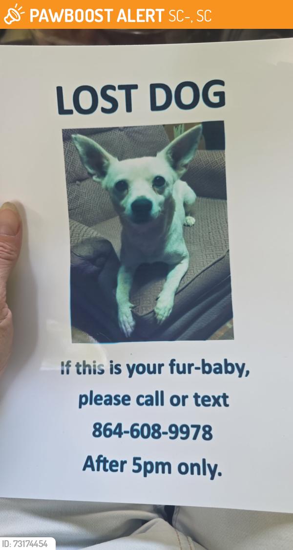 Found/Stray Male Dog last seen Hwy 11 at North Tigerville Rd, SC-11, SC 29690